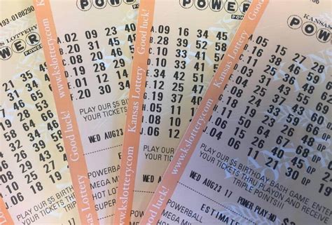 lotto results check ticket